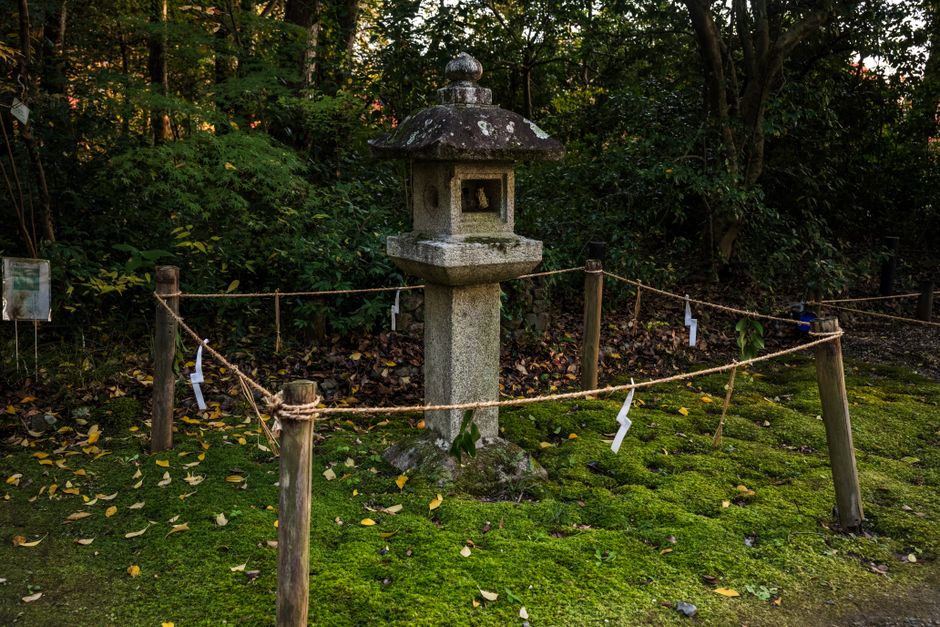Serene scene of a traditional Japanese stone lantern surrounded by lush greenery in a garden.